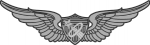 Army Astronaut badge