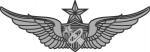 Army Astronaut badge - Senior