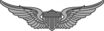 Army Aviator badge