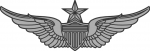 Army Aviator badge - Senior