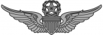 Army Aviator badge - Master