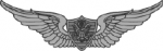 Aviation badge - Basic