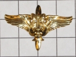 Odznak Leteck