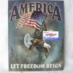 Cedule America Let Freedom Reign SFT-0ST-26