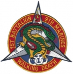    1. Battalion 9. Marines nivka