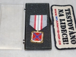 Medaile synov Konfederanch Vetern (Jih)