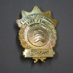 Odznak Hasi / EMT