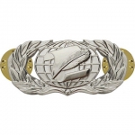 Information Management / Administration Badge Basic