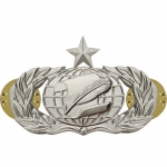 Information Management / Administration Badge Senior